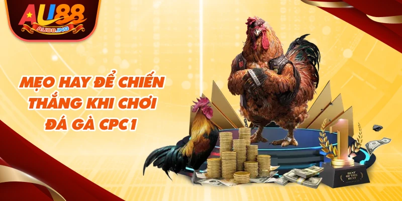 Mẹo hay để chiến thắng khi chơi đá gà cpc1